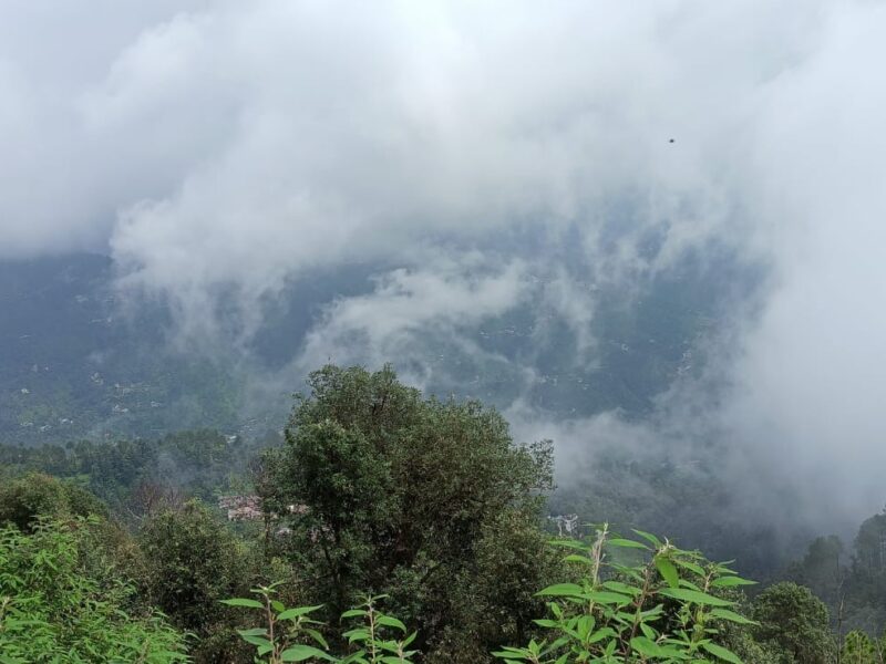 Fog in the plains of Himachal Pradesh, clouds will rain on 11-12 November